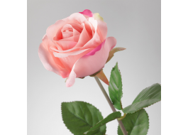 Hoa hồng giả SMYCK IKEA cao 52 cm