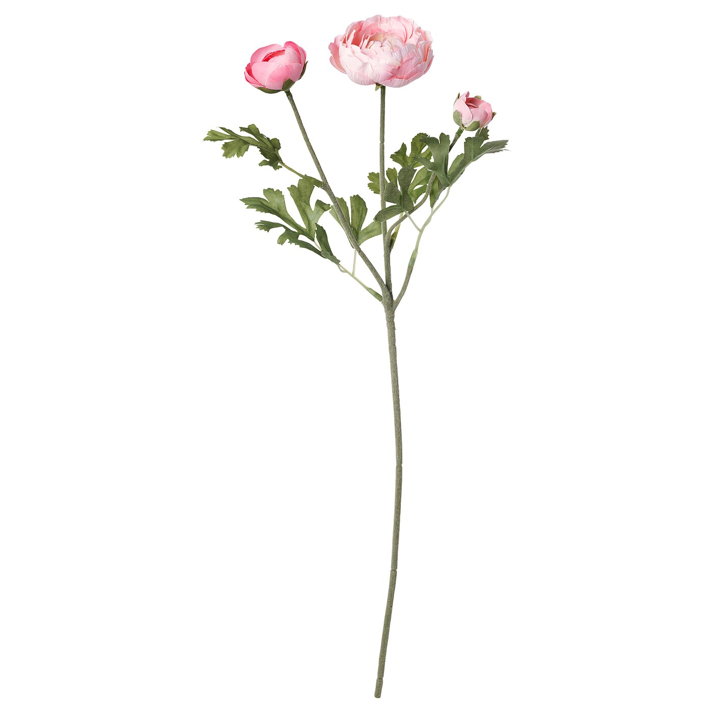 smycka-artificial-flower-ranunculus-pink__0638903_pe699256_s5
